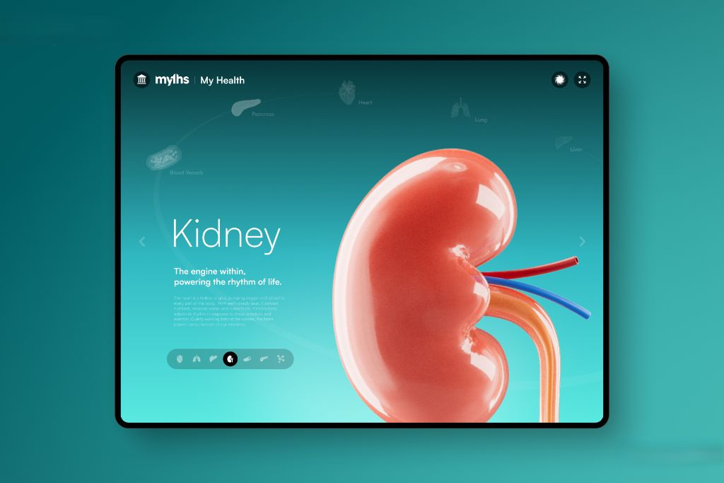 Kidney Detail Tablet